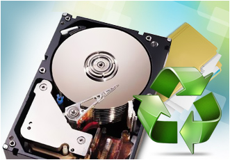 DDR Professional Data Recovery